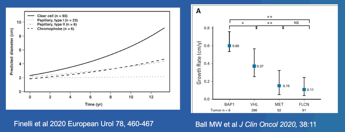 Another clinical predictor we can use is the growth rate of different tumor subtypes. Two studies (1,2) found that tumor growth rates varied significantly across genetic and tumor subtypes. In a study led by Dr. Ball, rapid growth of BAP1-deficient tumors indicated that these patients should be managed with caution. The faster growth observed in younger patients may warrant more frequent imaging, whereas the slower growth of other tumor subtypes could support extended surveillance beyond annual imaging in some cases.