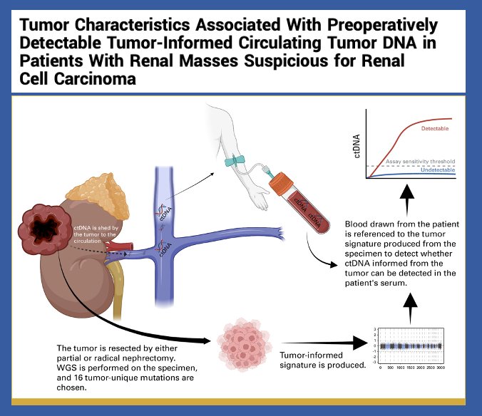 ctDNA has been studied in localized disease preoperatively in a cohort of patients with renal masses suspicious for RCC who underwent either partial or radical nephrectomy. In this study, preoperative ctDNA was detectable in 61% of patients with nonmetastatic RCC and was associated with higher stage, venous invasion, larger tumor size, and higher WHO ISUP grade. While there is still work to be done to refine this biomarker, it remains promising