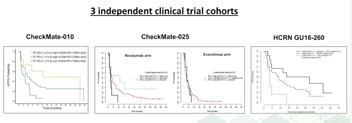 iIn a study of patients with RCC treated with Nivolumab, high-IF biomarker density had higher ORR (45.8% vs. 19.6%) and longer median PFS (9.6 vs. 3.7 months). (5) This also been observed in other three independent cohorts of patients treated with Anti-PD1 therapy