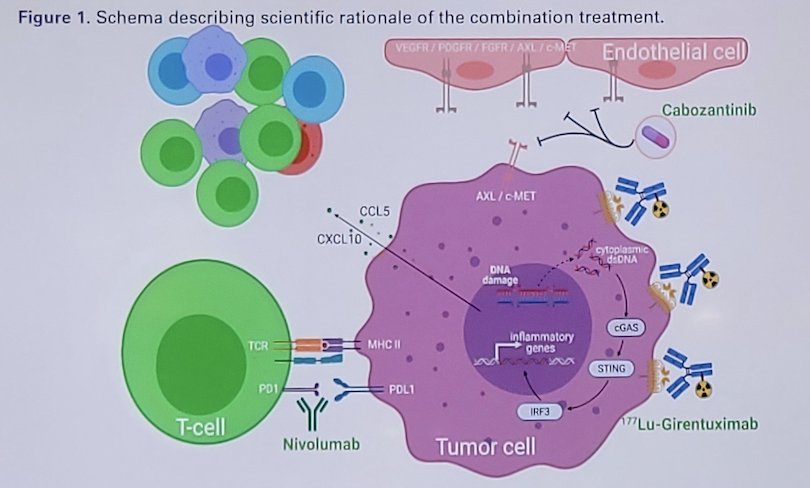 Radiation-induced DNA damage to activate the cGAS-STING pathway is a promising mechanism, and many studies have shown that radiation treatment augments immune checkpoint inhibition