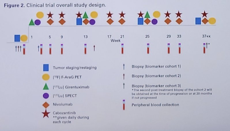 This single arm phase 1b/2 study will test the hypothesis that adding 177Lu-girentuximab to cabozantinib and nivolumab will increase the complete response rate when compared to historical outcomes with nivolumab + cabozantinib