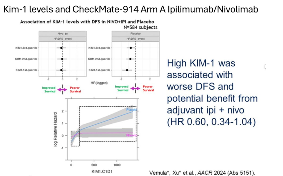 Similarly, in the CheckMate-914 study, patients in the arm receiving nivolumab + ipilimumab with high KIM-1 levels were associated with worse disease-free survival (DFS). However, these patients showed potential benefit from adjuvant nivolumab + ipilimumab. This highlights the potential of using KIM-1 as a biomarker in designing future trials.