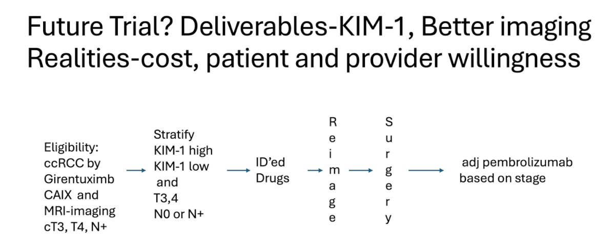 Dr. Haas shared the ideal future trial design in the neoadjuvant setting and summarized it in a comprehensive algorithm below.