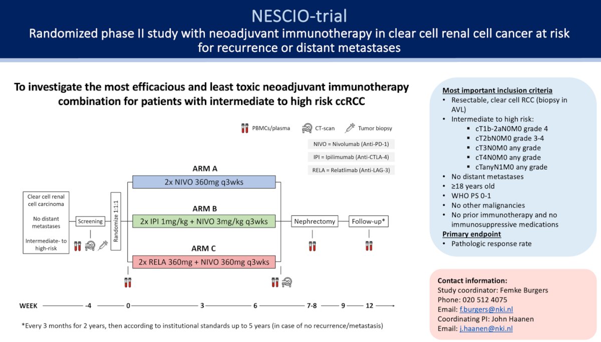 The NESCIO trial enrolled patients with clear cell RCC and intermediate-high risk M0 and randomized them into three arms: nivolumab, nivolumab + ipilimumab, and nivolumab + relatlimab, all followed by nephrectomy. The primary endpoint is the pathologic response rate (complete or partial pathologic response). Secondary endpoints include safety and feasibility, objective response rate, EFS, RFS, rate of distant metastases, local recurrence at 5 years after the start of treatment, and surgical morbidity according to the Clavien-Dindo classification. The study design is shown below