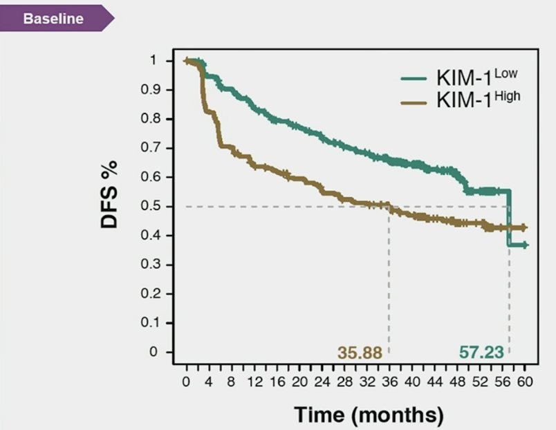 A promising biomarker for RCC is Kidney Injury Molecule-1 (KIM-1), a type 1 membrane glycoprotein identified as a marker for unresected clear cell RCC and early detection of RCC. In a study presented at ASCO 2024, patients treated in the IMmotion 010 study showed that KIM-1–high status was associated with reduced disease-free survival. However, patients with high KIM-1 had better disease-free survival when treated with atezolizumab compared to placebo (HR 1.75, 95% CI 1.40-2.17).  