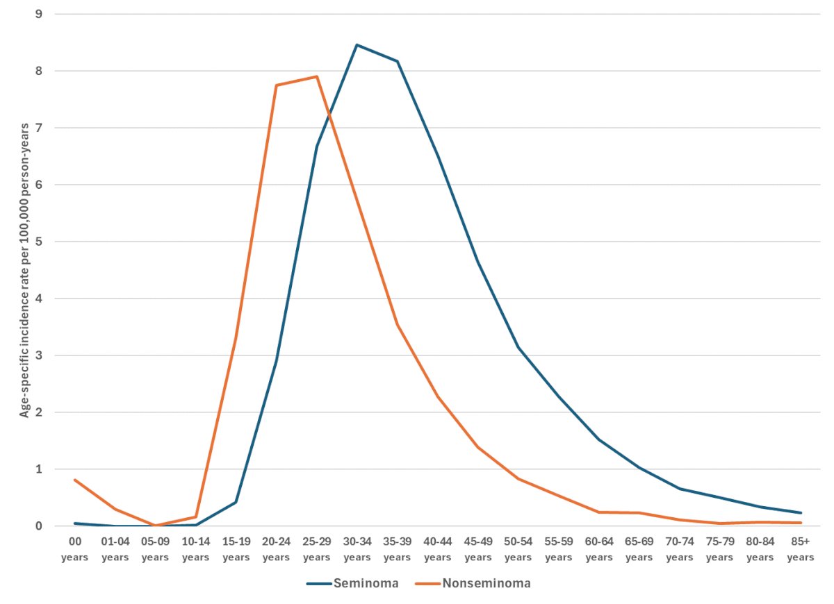 seminoma peak incidence occurred in the 35–39-year-old group, with over 8 cases per 100,000 person-years. On the other hand, NSGCTs were more commonly diagnosed in the 25-29 age group, with over 7 cases per 100,000 person-years.