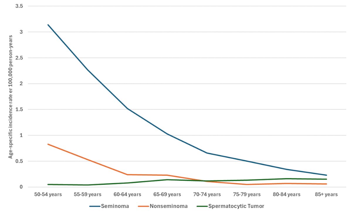 Notably, the incidence of both seminoma and NSGCT decreased significantly with age. Interestingly, for patients diagnosed with spermatocytic tumors, the incidence slightly increased in those over 50 years old.