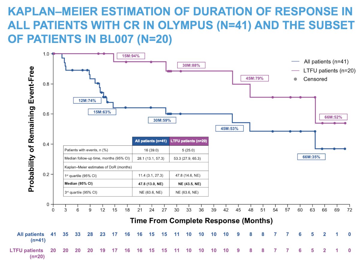 Among the 20 patients in BL007, 75% had no evidence of recurrence at the last follow-up, with median duration of response not estimable (95% CI 43.5–not estimable) due to a low event rate