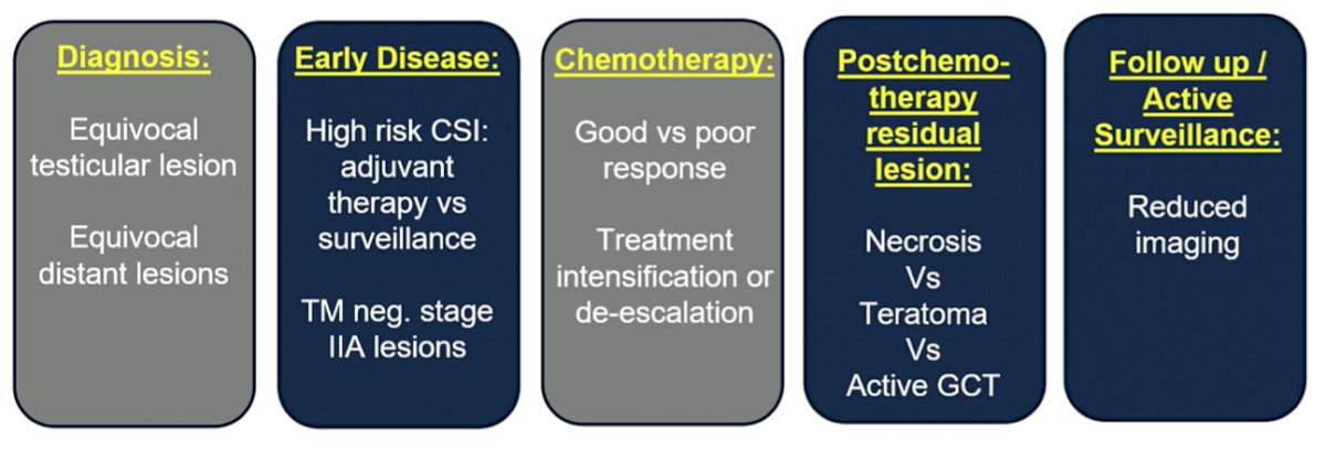 microRNA in testis cancer-1.jpg