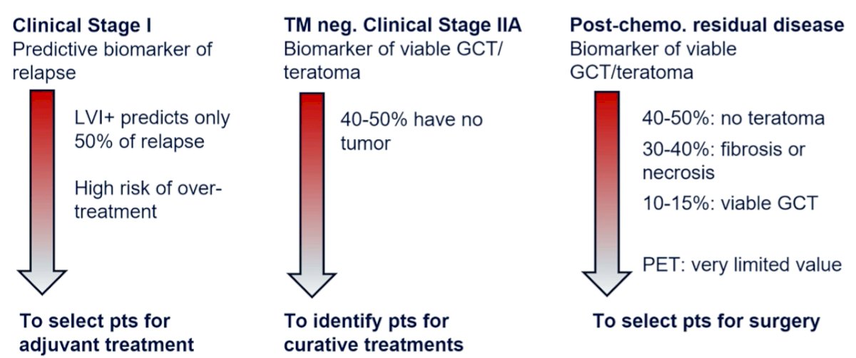 microRNA in testis cancer-2.jpg