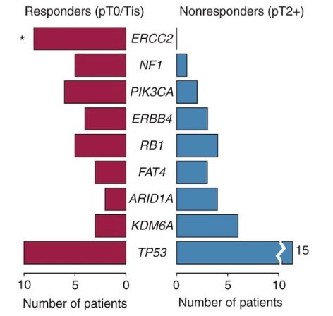 whole-exome sequencing on pretreatment tumor and germline DNA -1.jpg