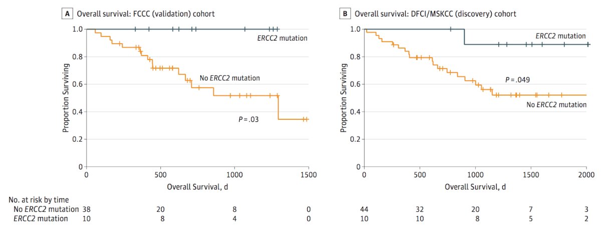 ERCC2 alterations in both the validation cohort and discovery cohort_Wassim Kassouf -2.jpg