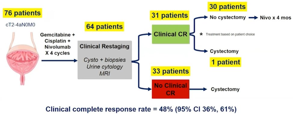 HCRN GU 16-257 trial_Wassim Kassouf -5.jpg