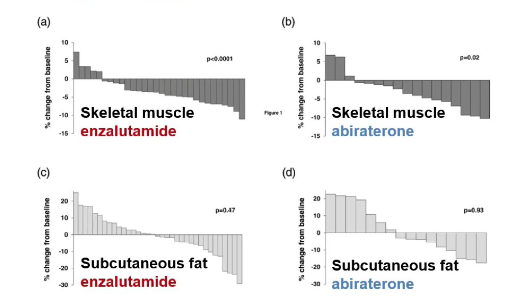 muscle strength-2.jpg