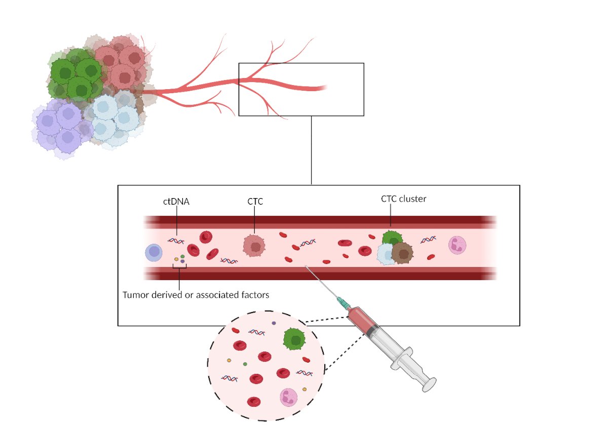 ctdna diagram