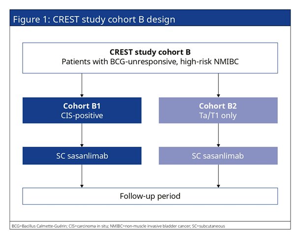 ASCO_CREST Study-1.jpg