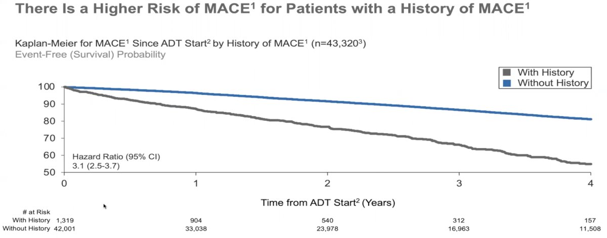 MACE history-2.jpg