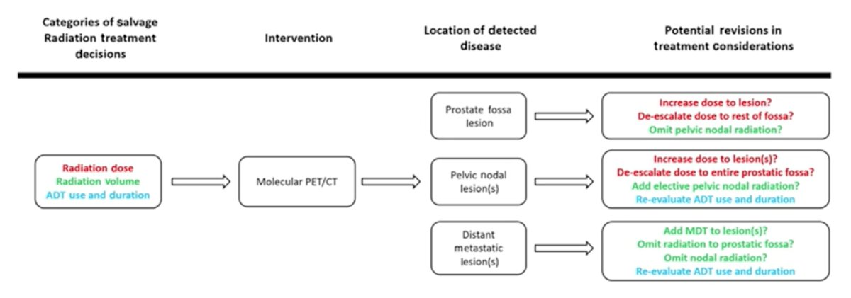 PSMA-PET-2.jpg