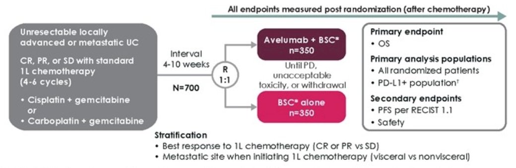 Avelumab_chemotherapy_chart_image_1