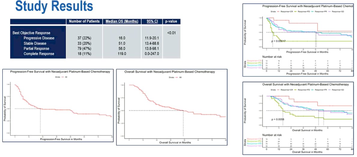 InPACT trial-1.jpg