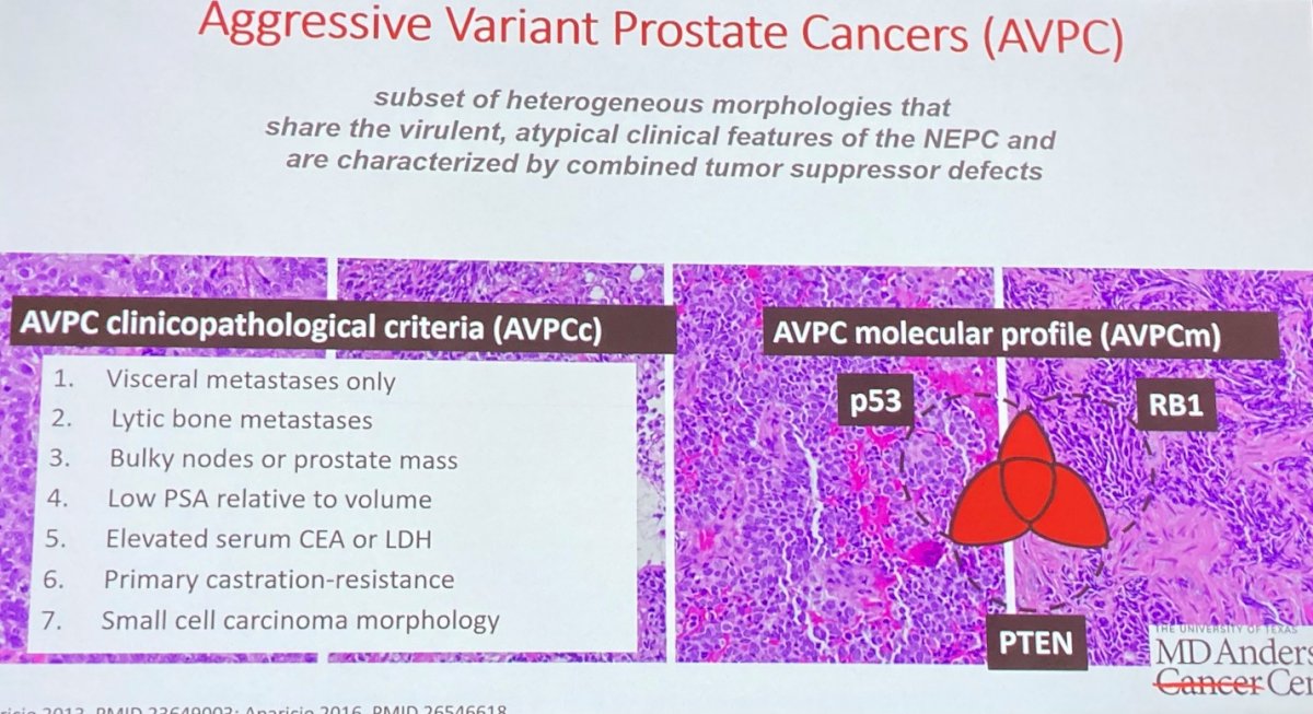 SUO 2022_Ana Aparicio_Biomarkers and Somatic Testing_3