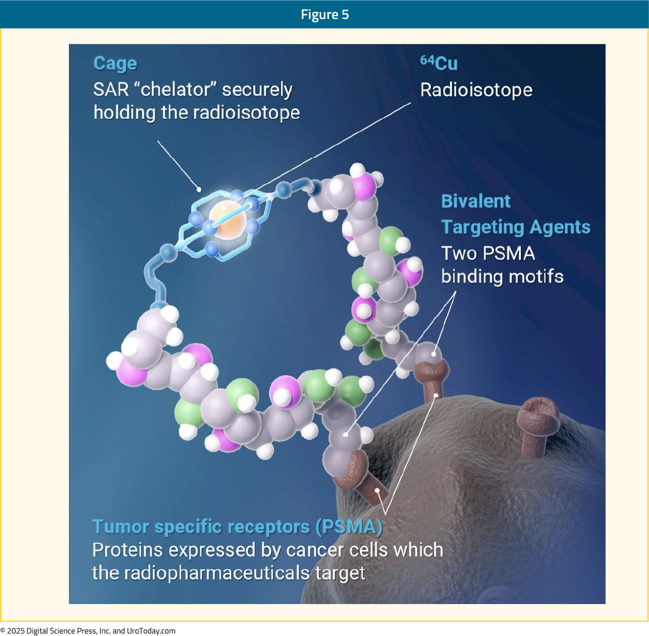 figure-5-PET-tracers-BRPC.jpg