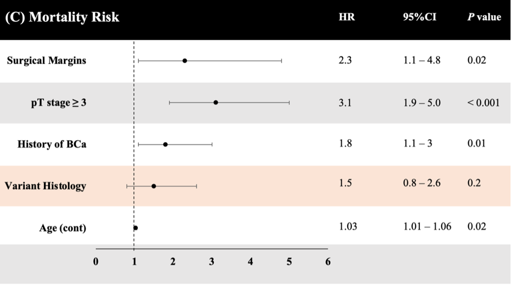 forest_plot_3.png