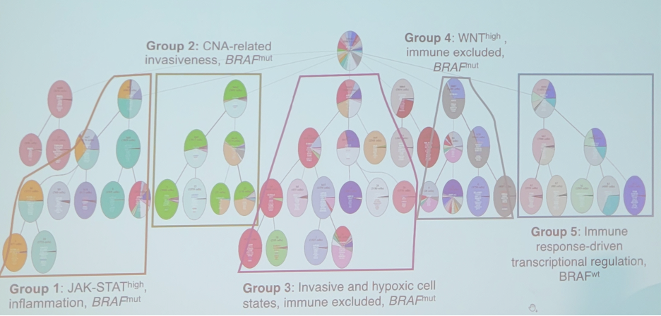 integrated_data_reveals_evolutionary_driven_functional_subgroups.jpeg