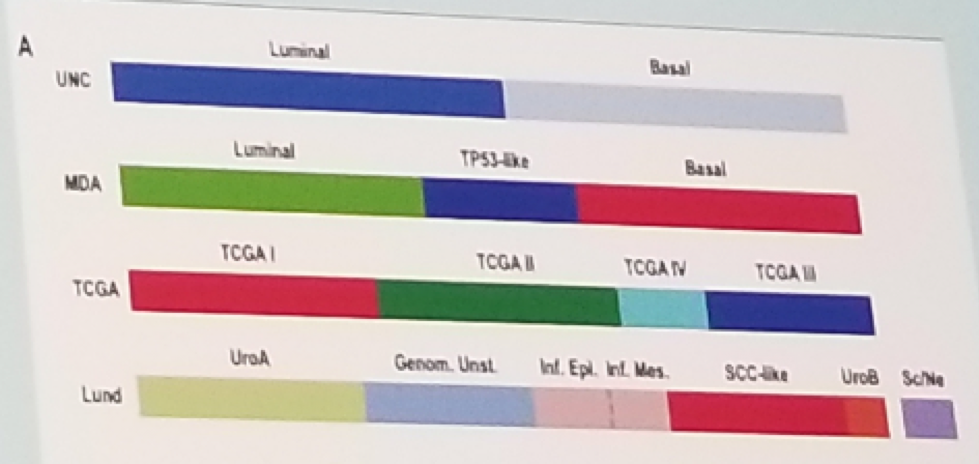 major molecular classifications