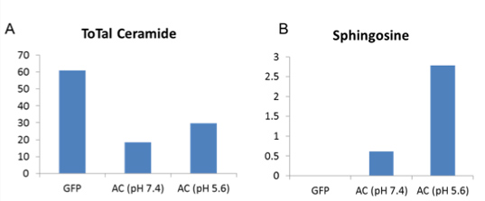 bta liu fig3