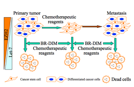 Figure 1. (click thumbnail to enlarge)