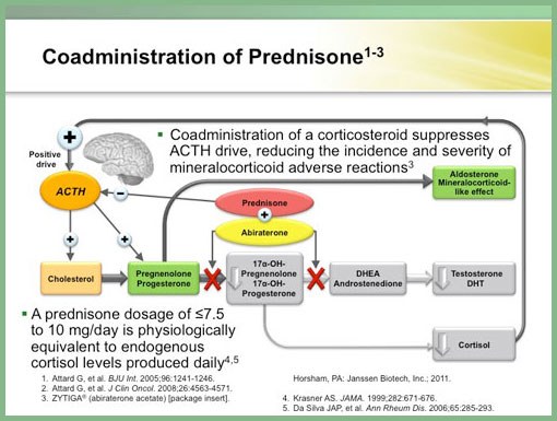 moul slide4