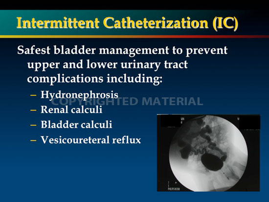 newman aua2012 ic slide03