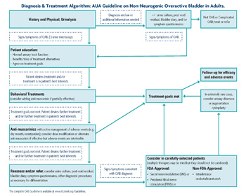 OAB algorithm lightner thumb